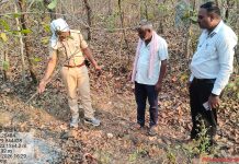 चंद्रपुर वनविभागातील सावली परिक्षेत्रा अंतर्गत उपक्षेत्र पाथरी येथील वाघाचा मृत्यु