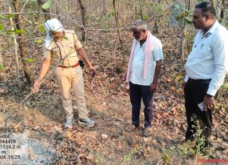 चंद्रपुर वनविभागातील सावली परिक्षेत्रा अंतर्गत उपक्षेत्र पाथरी येथील वाघाचा मृत्यु