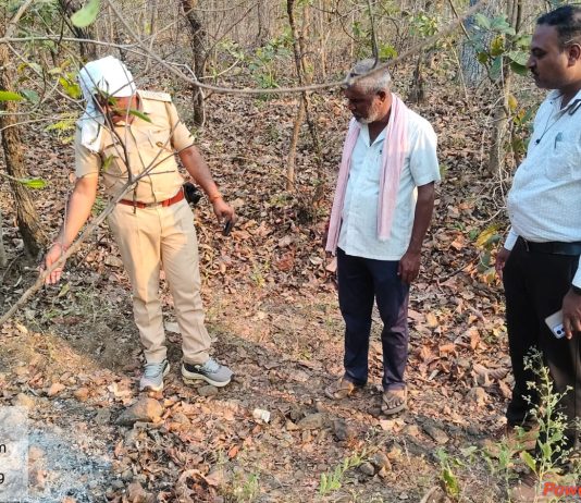 चंद्रपुर वनविभागातील सावली परिक्षेत्रा अंतर्गत उपक्षेत्र पाथरी येथील वाघाचा मृत्यु